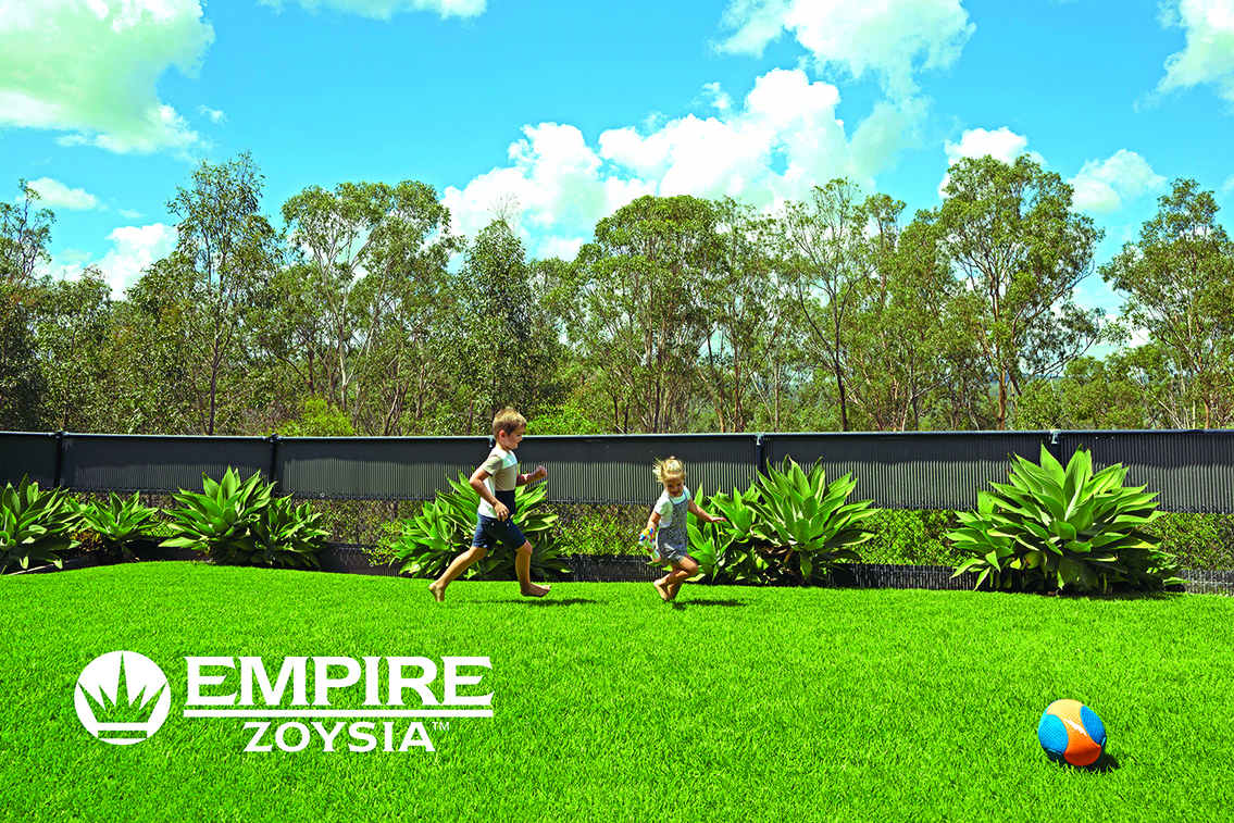 Empire Zoysia - LP 4