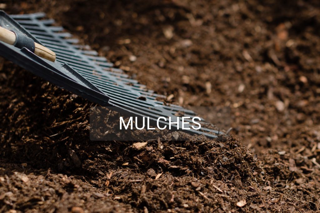 Mulch_4