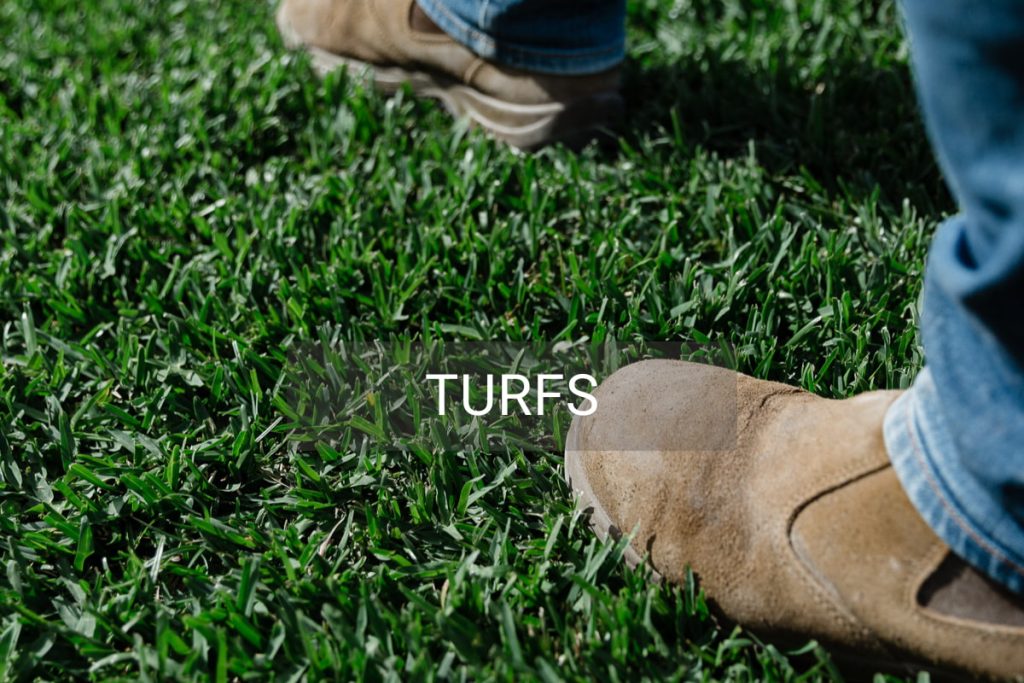 Turf_5